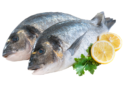 fisch_bild_rewe.png